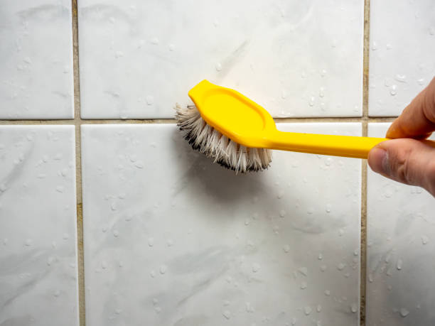 Best Best Mold Removal Companies  in Irving, TX