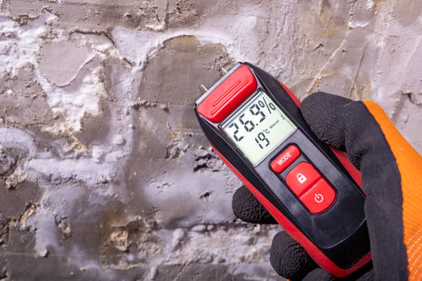 Best Fast Mold Removal  in Irving, TX