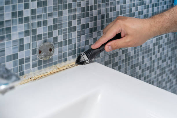 Trusted Irving, TX Mold Removal Experts