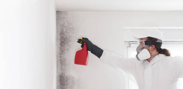Best Commercial Mold Removal  in Irving, TX
