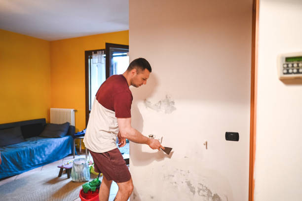 Best Affordable Mold Removal  in Irving, TX